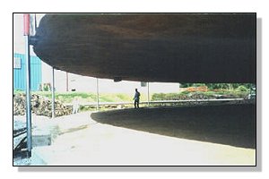 Raised New Orleans Tank